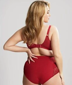 Panache Sculptresse Estel High Waist Brief - Raspberry -BRASTOGO Sales sculptresse estel full cup underwired bra raspberry2 22cbbeef 62ad 4a7f bea7 baa77ab35883