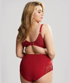 Panache Sculptresse Estel High Waist Brief - Raspberry -BRASTOGO Sales sculptresse estel full cup underwired bra raspberry4 95f3e295 f7d5 4fc9 9afe 72688a88db26