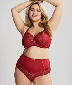 Panache Sculptresse Estel High Waist Brief - Raspberry -BRASTOGO Sales sculptresse estel full cup underwired bra raspberry cd98e2c0 4d34 4d9e aa8e 4a4a19dc86cc