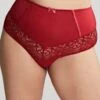Panache Sculptresse Estel High Waist Brief - Raspberry 1 Panache Sculptresse Estel High Waist Brief - Raspberry -BRASTOGO Sales sculptresse estel high waist brief raspberry